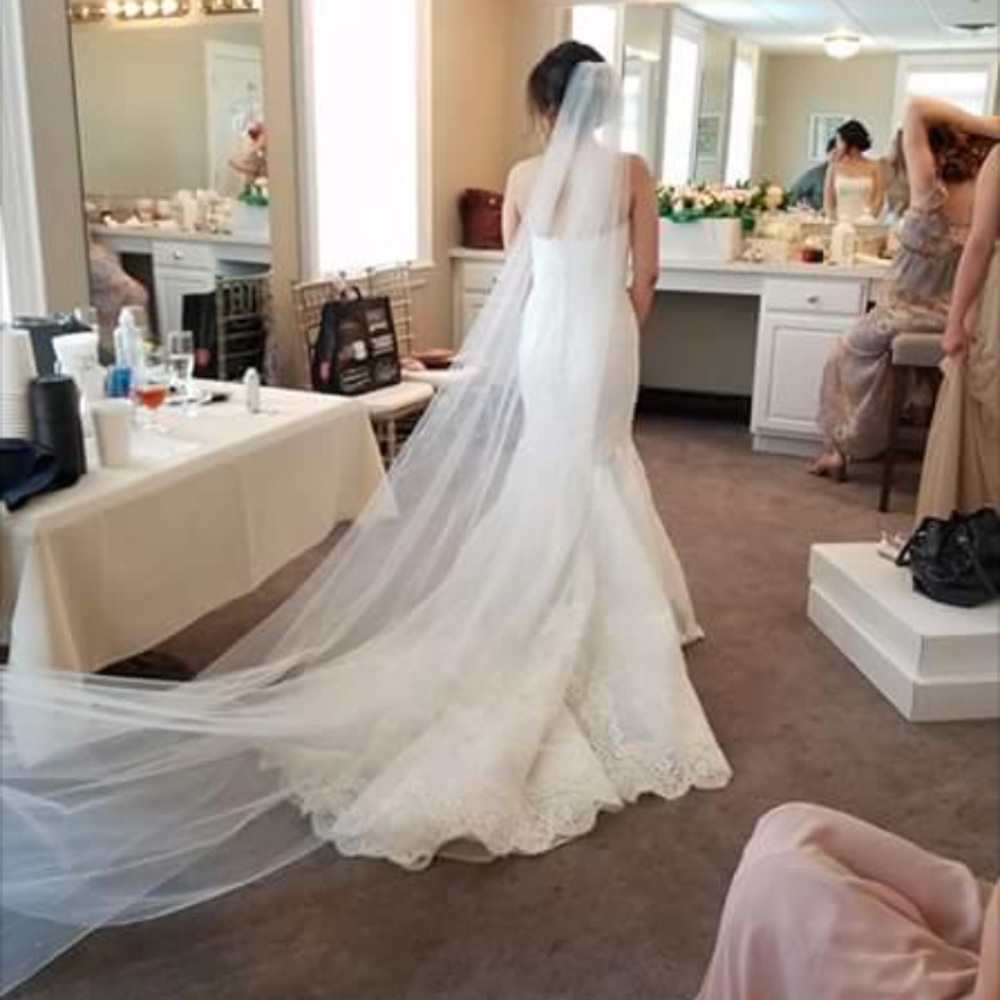10ft Single Tier Raw Edge Veil
